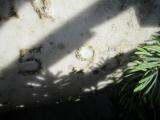 image of grave number 380263